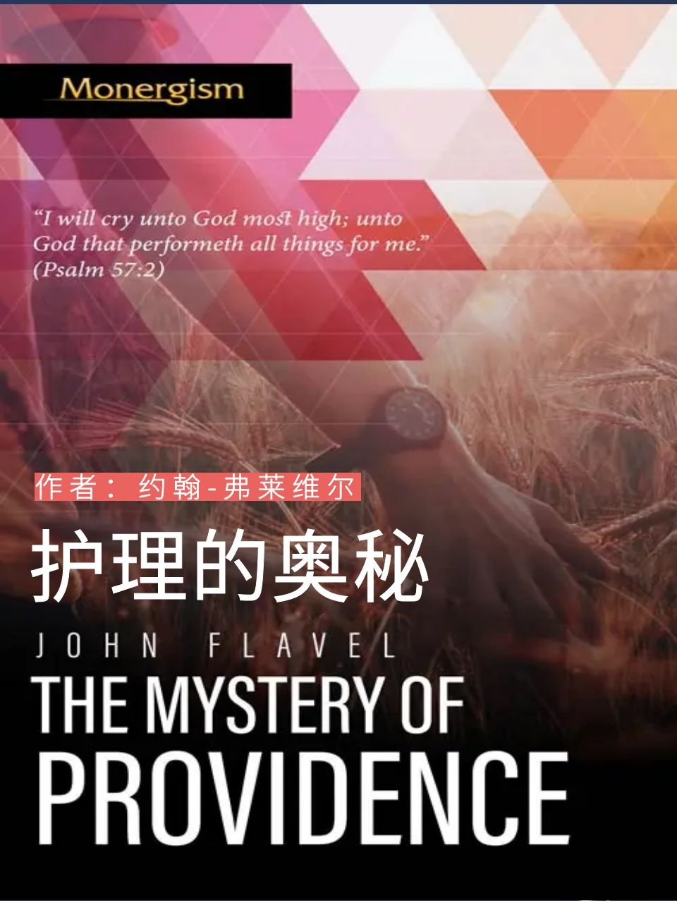 护理的奥秘The Mystery of Providence – John Flavel - 清教徒书籍