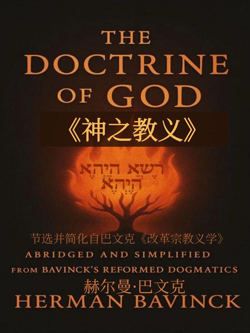 神之教义》赫尔曼·巴文克The Doctrine of God (Abridged) – Herman Bavinck - 清教徒书籍
